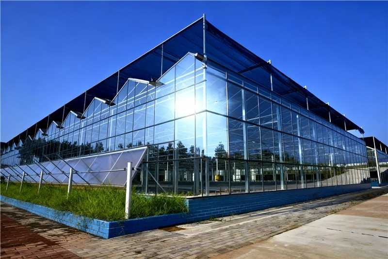 1763104444740295.jpg 4e5c232a13f0c63b86fd7c78c126a60c_compress.jpg