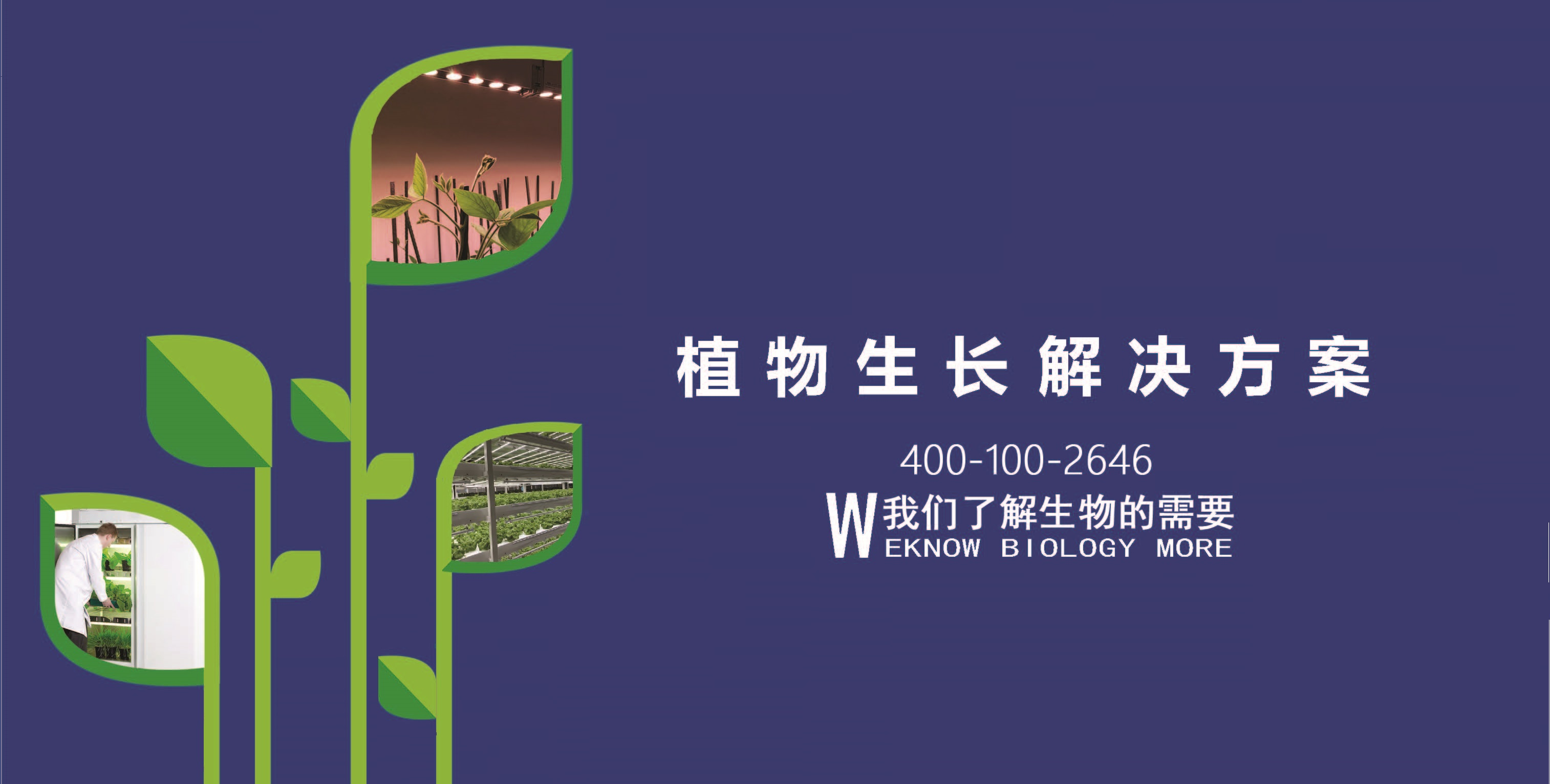 嘉延 新闻稿尾图.png